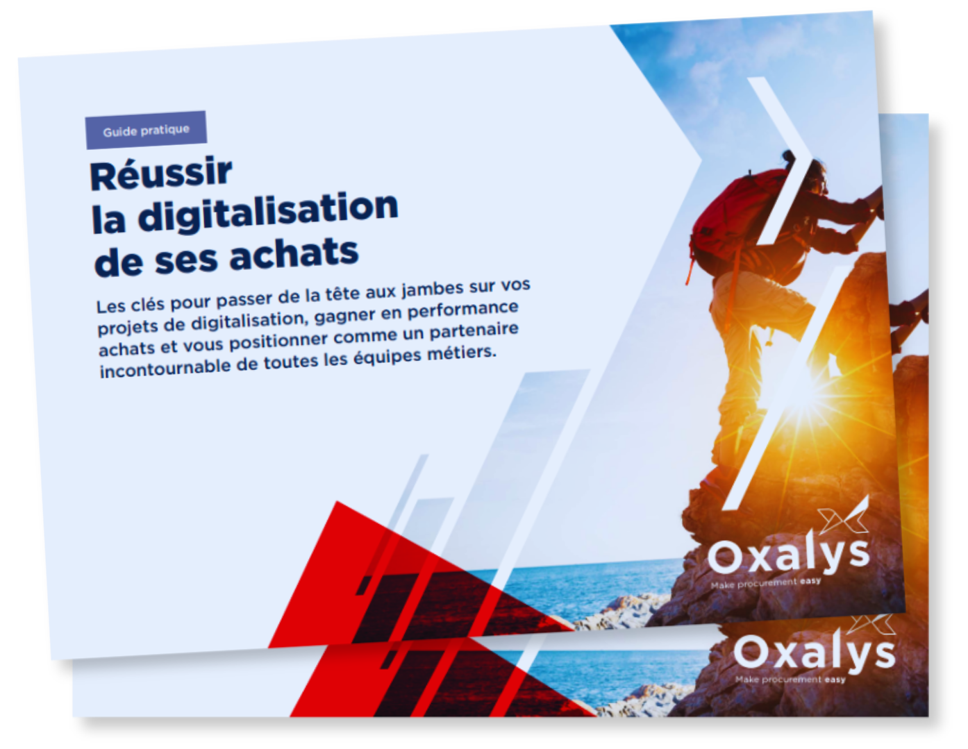 Guide sur la digitalisation des achats - illustration