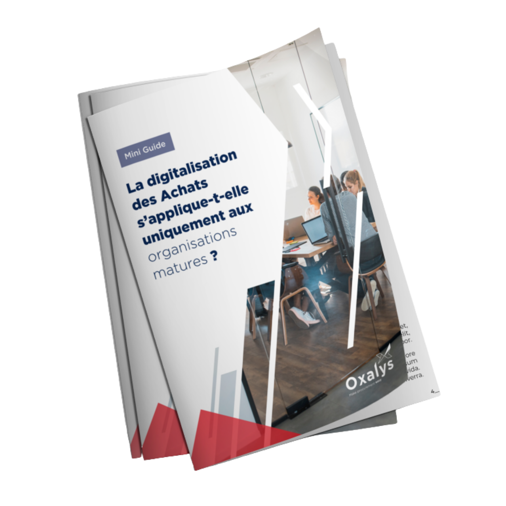 La digitalisation des achats s'applique t'elle uniquement aux organisations matures illustration guide