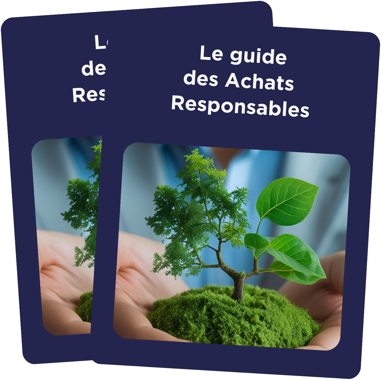 Le guide des achats responsables illustré - img illust lp
